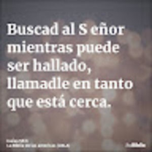 Meet your Posher, Yohana